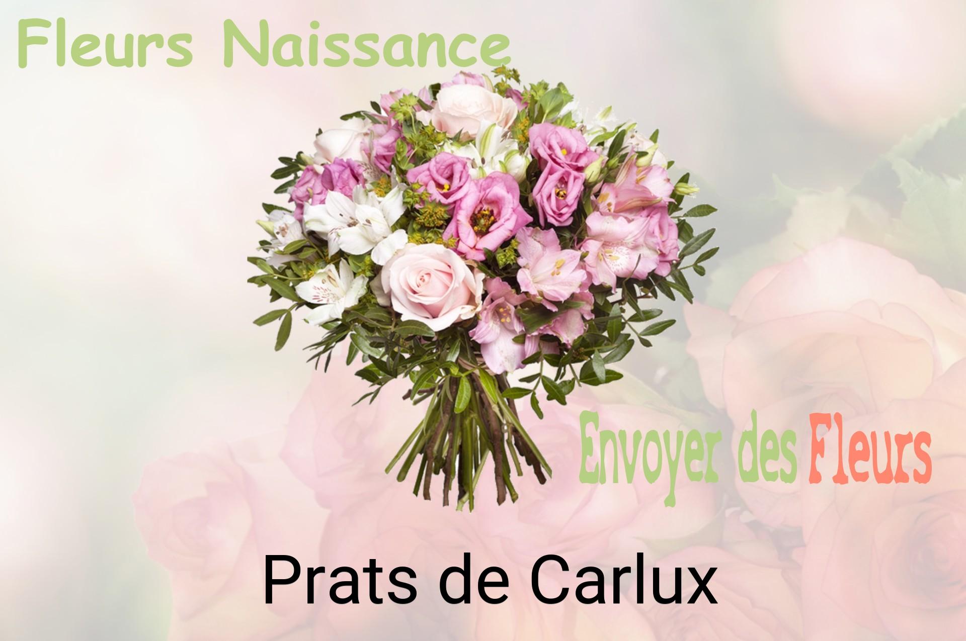 Bouquet de fleurs de naissance livré à Prats-de-Carlux